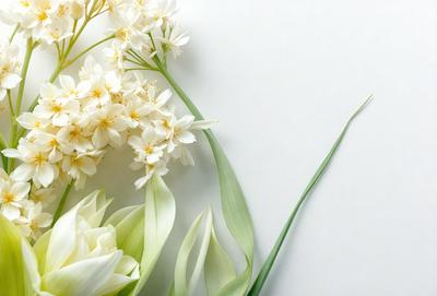 The primary subject of the image is a bouquet of white flowers, which are the main focus of the scene. The flowers are arranged in a vase, and they are placed on a white surface, which could be a table or a wall. The visual style of the image is a close-up of the flowers, showcasing their details and beauty. The colors of the flowers are predominantly white, creating a clean and elegant atmosphere.
