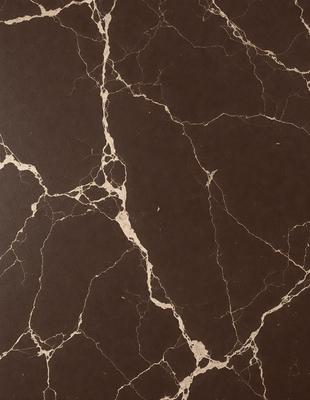 The primary subject of the image is a marble countertop with a brown and white pattern. The setting is a kitchen, and the visual style is a close-up of the countertop. The colors and mood of the image are warm and natural, with the brown and white marble creating a sense of elegance and sophistication.