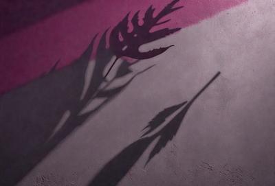 The primary subject of the image is a large leafy plant with a long stem, which is casting a shadow on a wall. The plant is located in the center of the image, and its shadow extends across the wall. The setting appears to be an indoor space, possibly a room or a hallway. The visual style of the image is a combination of a photo and a drawing, with the plant's shadow creating a unique and artistic effect. The colors in the image are predominantly shades of pink and purple