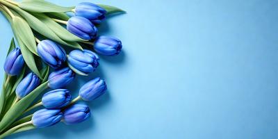 The primary subject of the image is a bouquet of blue flowers. The flowers are arranged in a vase, and they are placed on a blue background. The visual style of the image is a photo, capturing the beauty of the flowers in their natural setting. The colors and mood of the image are predominantly blue, creating a serene and calming atmosphere.