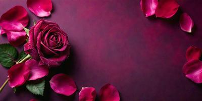 The primary subject of the image is a single pink rose. The rose is placed on a purple background, which adds a contrasting color to the scene. The visual style of the image is a close-up of the rose, showcasing its details and beauty. The colors and mood of the image are predominantly pink and purple, creating a sense of elegance and romance.