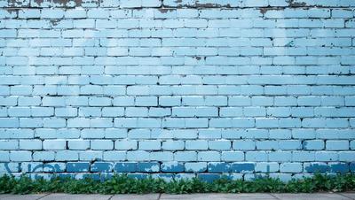 The primary subject of the image is a blue brick wall. The setting is an outdoor environment, with the wall being the main object of focus. The visual style is a photo, capturing the brick wall in its natural surroundings. The colors and mood of the image are predominantly blue, creating a calm and serene atmosphere.