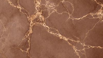 The primary subject of the image is a marble wall with a brown and gold color scheme. The setting is a room with a brown and gold marble wall, which serves as the background. The visual style of the image is a close-up of the marble wall, showcasing its intricate patterns and textures. The colors and mood of the image are warm and luxurious, evoking a sense of sophistication and elegance.