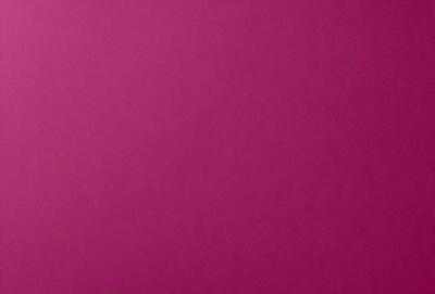 The primary subject of the image is a large, pink wall. The setting is a room with a pink background, and the visual style is a close-up of the wall. The dominant colors in the image are pink, and the overall atmosphere is warm and inviting.