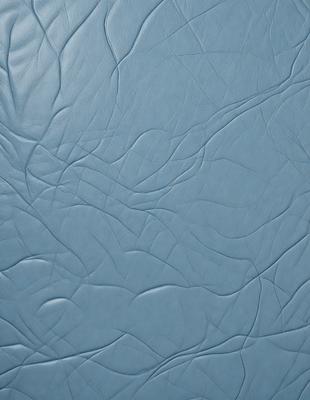 The primary subject of the image is a blue leather material, which appears to be a piece of leather or a leather-like fabric. The setting is a close-up view of the material, showcasing its texture and appearance. The visual style is a realistic representation of the leather material, and the colors and mood are predominantly blue, giving the image a calm and serene atmosphere.