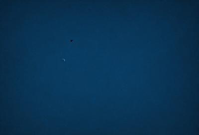 The primary subject of the image is a bird flying in the sky. The bird is positioned in the upper left corner of the image. The setting is a dark blue sky, which creates a dramatic and moody atmosphere. The visual style is a photo, capturing the bird in its natural environment. The colors and mood of the image are predominantly dark and dramatic, with the blue sky serving as the main backdrop for the bird's flight.