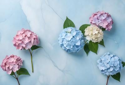 The primary subject of the image is a group of three blue and white flowers, each with a green leaf, arranged on a blue marble surface. The flowers are placed in a visually appealing manner, creating a sense of harmony and beauty. The setting is a blue marble countertop, which serves as a striking backdrop for the flowers. The visual style of the image is a combination of realistic and artistic elements, as the flowers are depicted in a way that showcases their natural beauty while also highlighting their v