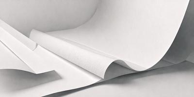 The primary subject of the image is a roll of white paper. The paper is unrolled and appears to be white in color. The setting is a white background, which provides a clean and minimalistic appearance. The visual style of the image is a close-up of the paper, showcasing its texture and details. The colors and mood of the image are predominantly white, giving it a clean and simple appearance.