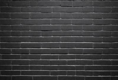 The primary subject of the image is a black brick wall. The setting is a brick wall, and the visual style is a photo. The dominant colors are black and grey, creating a moody atmosphere.