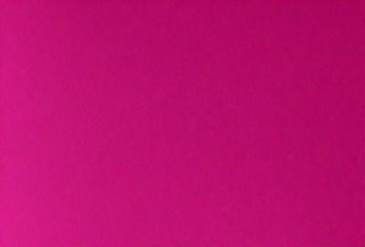 The primary subject of the image is a large, pink wall. The setting is a room with a pink background, and the visual style is a close-up of the wall. The dominant colors in the image are pink, and the overall atmosphere is bright and vibrant.