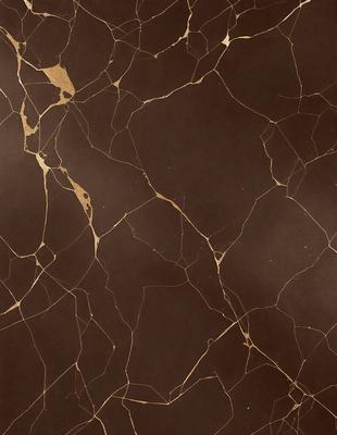 The primary subject of the image is a brown marble wall with a gold-colored pattern. The setting is a room with a brown marble floor. The visual style is a close-up of the marble wall, showcasing its intricate design. The colors and mood of the image are warm and elegant, with the gold and brown tones creating a luxurious and sophisticated atmosphere.