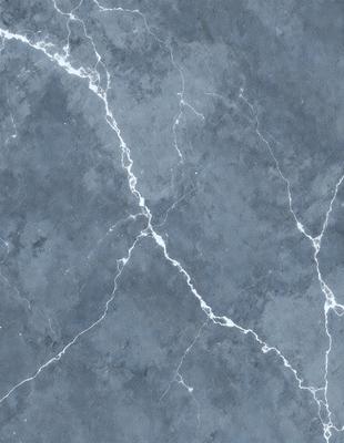The primary subject of the image is a close-up of a marble wall with a blue tint. The setting is a room with a blue-gray marble wall, which serves as the background. The visual style is a photo, capturing the intricate details of the marble wall. The colors and mood of the image are predominantly blue and gray, creating a calm and sophisticated atmosphere.