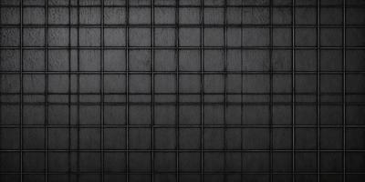 The primary subject of the image is a black and white patterned wall. The setting is a black and white room, and the visual style is a patterned wall. The dominant colors are black and white, creating a classic and timeless atmosphere.