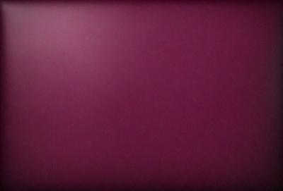 The primary subject of the image is a large, pink wall. The setting is a room with a pink background, and the visual style is a close-up of the wall. The dominant colors in the image are pink, and the overall atmosphere is warm and inviting.