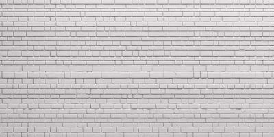 The primary subject of the image is a white brick wall. The setting is a plain, white brick wall with no visible background or environment. The visual style is a photo of the brick wall. The colors and mood of the image are predominantly white, giving it a clean and minimalist appearance.