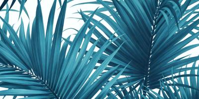 The primary subject of the image is a close-up of a palm tree. The setting is a blue background, which adds a vibrant and lively atmosphere to the scene. The visual style is a combination of a photo and a digital art, creating a unique and artistic representation of the palm tree. The dominant colors are blue and green, which are associated with the tropical and serene environment of the palm tree.