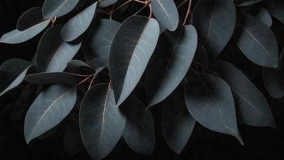 The primary subject of the image is a tree with green leaves. The tree is surrounded by a dark background, which creates a contrast with the green leaves. The visual style of the image is a close-up of the tree, showcasing the details of the leaves. The colors and mood of the image are predominantly green, with a slightly moody atmosphere due to the dark background.