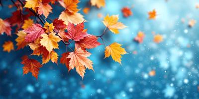The primary subject of the image is a close-up of a branch with several orange leaves. The setting is a blue background, which creates a contrast with the orange leaves. The visual style is a photo, capturing the natural beauty of the leaves. The colors and mood of the image are warm and inviting, with the orange leaves adding a touch of vibrancy to the scene.
