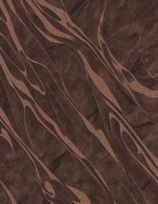 The primary subject of the image is a brown and black patterned wallpaper. The setting is a wall, and the visual style is a close-up of the wallpaper. The colors and mood of the image are predominantly brown and black, creating a rich and textured appearance.