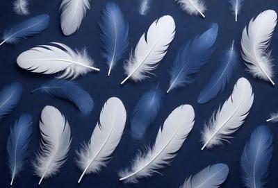 The primary subject of the image is a collection of white feathers, which are arranged in a visually appealing manner. The feathers are spread across a blue background, creating a striking contrast between the white feathers and the dark blue surface. The visual style of the image is a combination of photo and digital art, as the feathers are arranged in a way that resembles a painting or a digital illustration. The overall atmosphere of the image is serene and calming, with the white feathers symbolizing purity and innoc