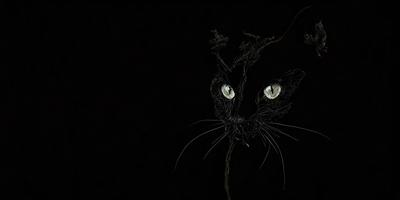 The primary subject of the image is a cat with yellow eyes, which appears to be a drawing or illustration. The cat is depicted with a black background, giving it a striking appearance. The setting or background of the image is a dark room, which further emphasizes the cat's presence. The visual style of the image is artistic, with the cat's eyes being the focal point. The colors and mood of the image are predominantly dark, with the cat's yellow eyes providing a contrasting and eye