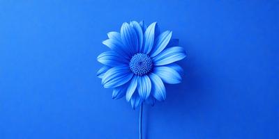 The primary subject of the image is a blue flower, which is the main focus of the scene. The setting is a blue background, which creates a striking contrast with the flower. The visual style of the image is a photo, capturing the beauty of the blue flower in detail. The dominant colors in the image are blue and white, giving the scene a calm and serene atmosphere.