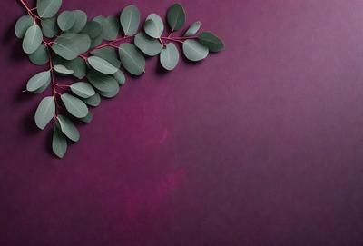 The primary subject of the image is a purple wall with a green leafy plant placed on it. The plant is positioned in the center of the wall, and its leaves are spread out, creating a visually appealing scene. The setting is a purple wall, which serves as the background for the plant. The visual style of the image is a close-up of the plant on the wall, showcasing its details and texture. The colors and mood of the image are predominantly purple and green, creating a