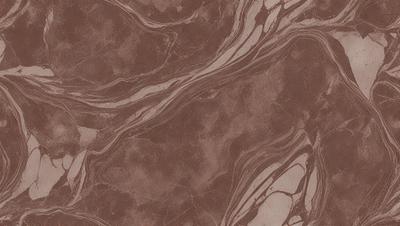 The image features a brown marble tile with a pattern of swirls and stripes. The tile appears to be a part of a wall or floor, and it has a unique and intricate design. The overall atmosphere of the image is elegant and sophisticated, with the marble tile serving as a focal point in the scene.