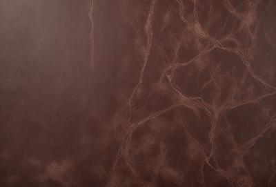The primary subject of the image is a brown leather surface with a pattern of interconnected lines. The setting is a close-up of the leather surface, which appears to be a piece of leather wallpaper. The visual style is a close-up of the leather surface, showcasing its intricate pattern. The colors and mood of the image are warm and earthy, with the brown leather creating a sense of texture and depth.