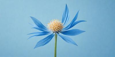 The primary subject of the image is a blue flower with a yellow center, which is the main focus of the image. The setting is a blue background, which provides a contrasting and visually appealing environment for the flower. The visual style of the image is a close-up, which highlights the details of the flower. The dominant colors in the image are blue and yellow, creating a calm and serene atmosphere.