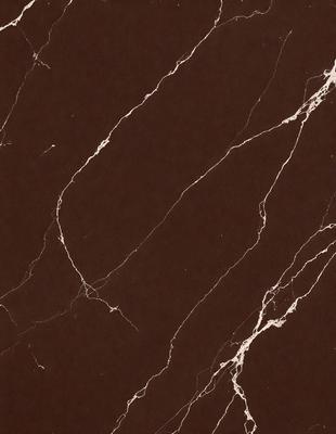 The image features a brown marble wall with a pattern of white veins. The wall appears to be made of marble, giving it a luxurious and elegant appearance. The marble wall is the primary subject of the image, and it is set against a brown background, which complements the natural color of the marble. The visual style of the image is a close-up of the marble wall, showcasing its intricate pattern and texture. The colors and mood of the image are warm and sophisticated