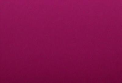 The primary subject of the image is a large, pink wall. The setting is a room with a pink background, and the visual style is a close-up of the wall. The dominant colors in the image are pink, and the overall atmosphere is warm and inviting.