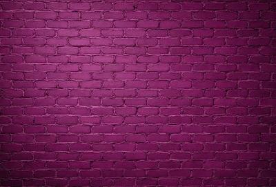 The primary subject of the image is a purple brick wall. The setting is a brick wall, and the visual style is a photo. The dominant colors are purple and red, creating a warm and vibrant atmosphere.