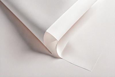 The primary subject of the image is a roll of white paper. The paper is unrolled and appears to be a large sheet of paper. The setting is a white background, which provides a clean and minimalistic appearance. The visual style is a close-up of the paper, showcasing its texture and details. The colors and mood of the image are predominantly white, giving it a clean and simple appearance.
