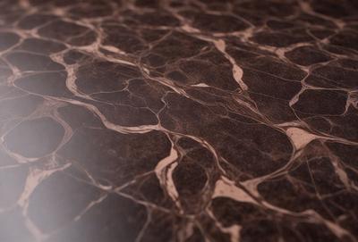 The primary subject of the image is a close-up of a brown and black marbled surface. The setting is a room with a wooden floor, and the visual style appears to be a photo. The colors and mood of the image are predominantly brown and black, creating a sense of depth and texture.