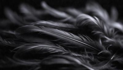 The primary subject of the image is a close-up of a black feather. The setting is a dark background, which contrasts with the feather, making it stand out. The visual style is a black and white photo, giving the image a classic and timeless appearance. The dominant colors are black and white, creating a moody and dramatic atmosphere.