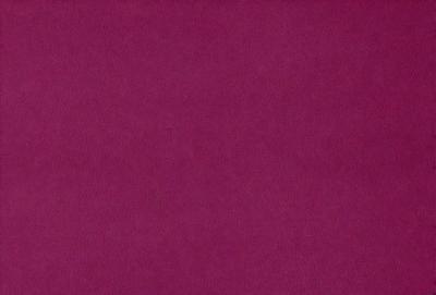 The primary subject of the image is a close-up of a red fabric, which appears to be a piece of cloth or a wall. The setting is a room with a red background, which creates a bold and striking visual effect. The visual style is a close-up of the red fabric, emphasizing its texture and color. The colors and mood of the image are predominantly red, giving it a warm and vibrant atmosphere.