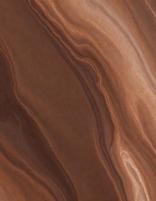 The primary subject of the image is a close-up of a brown, textured surface, possibly a piece of wood or a stone wall. The setting appears to be a natural environment, with the surface being the main focus of the image. The visual style is a close-up, which emphasizes the texture and details of the surface. The colors in the image are predominantly brown, giving the scene a warm and earthy atmosphere.