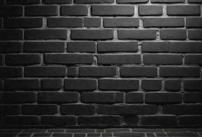 The primary subject of the image is a large, dark brick wall. The setting is a black and white photo, which gives the image a classic and timeless appearance. The visual style is a close-up of the brick wall, emphasizing its texture and details. The colors and mood of the image are predominantly black and white, creating a sense of depth and contrast.