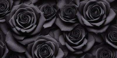 The primary subject of the image is a close-up of a bouquet of black roses. The setting is a dark background, which emphasizes the contrast between the black roses and the rest of the image. The visual style is a black and white photo, giving the image a classic and timeless appearance. The dominant colors are black and white, creating a moody and dramatic atmosphere.