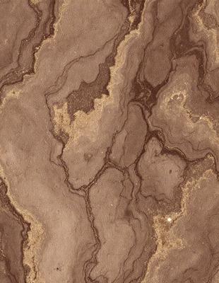 The image features a brown and white marbled surface, possibly a stone or tile material. The primary subject is a close-up of the marbled surface, showcasing its intricate patterns and textures. The setting is indoors, with the marbled surface serving as a backdrop for the scene. The visual style is a close-up, focusing on the details of the marbled surface. The colors and mood of the image are warm and earthy, with the brown and white tones creating a natural and organ