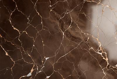 The primary subject of the image is a marble wall with a brown and gold color scheme. The setting is a room with a brown and gold marble floor. The visual style is a close-up of the marble wall, showcasing its intricate patterns and textures. The colors and mood of the image are warm and luxurious, evoking a sense of sophistication and elegance.
