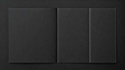 The primary subject of the image is a black book cover. The setting is a black background, and the visual style is a photo. The colors and mood of the image are predominantly black, giving it a sleek and modern appearance.