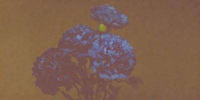 The primary subject of the image is a bouquet of blue flowers, which are the main focus of the scene. The flowers are placed in a vase, and they are set against a brown background. The visual style of the image is a photo, capturing the beauty of the flowers in their natural setting. The dominant colors in the image are blue and brown, creating a warm and inviting atmosphere.