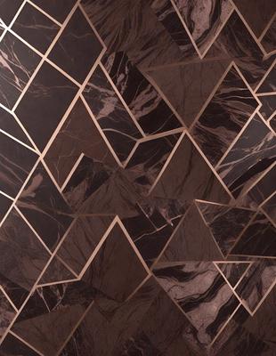 The primary subject of the image is a marble wall with a unique pattern. The setting is a room with a marble floor, and the visual style is a close-up of the marble wall. The colors and mood of the image are predominantly dark, with the marble providing a contrasting texture.