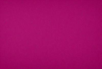 The primary subject of the image is a large, pink surface. The setting is a room with a pink wall, and the visual style is a close-up of the pink wall. The colors and mood of the image are predominantly pink, creating a warm and inviting atmosphere.