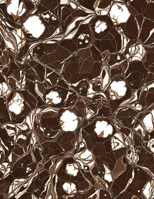 The primary subject of the image is a pattern of white and brown dots on a brown background. The setting appears to be a wall or a surface with a textured pattern. The visual style of the image is a combination of a photo and a digital art, illustration, or drawing. The dominant colors are brown and white, creating a warm and earthy atmosphere.