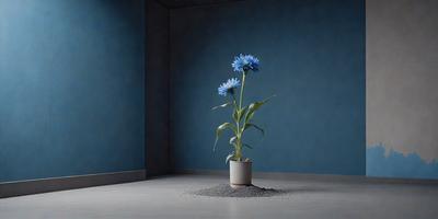 The primary subject of the image is a single blue flower in a white pot. The setting is a blue wall, which serves as the backdrop for the flower. The visual style is a photo, capturing the beauty of the flower in its pot. The dominant colors are blue and white, creating a calm and serene atmosphere.