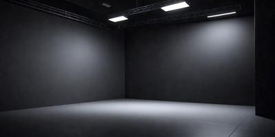 The primary subject of the image is a large, empty room with a black wall. The setting is a dark room with a single light source, which is shining on the wall. The visual style is a black and white photo, giving the image a classic and timeless appearance. The colors and mood of the image are predominantly dark, with the black wall and the single light source creating a sense of mystery and solitude.
