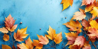 The primary subject of the image is a close-up of a leaf, which is the main object in the scene. The leaf is placed on a blue surface, which serves as the background. The visual style of the image is a photo, capturing the leaf's details and texture. The dominant colors in the image are yellow and orange, creating a warm and natural atmosphere.